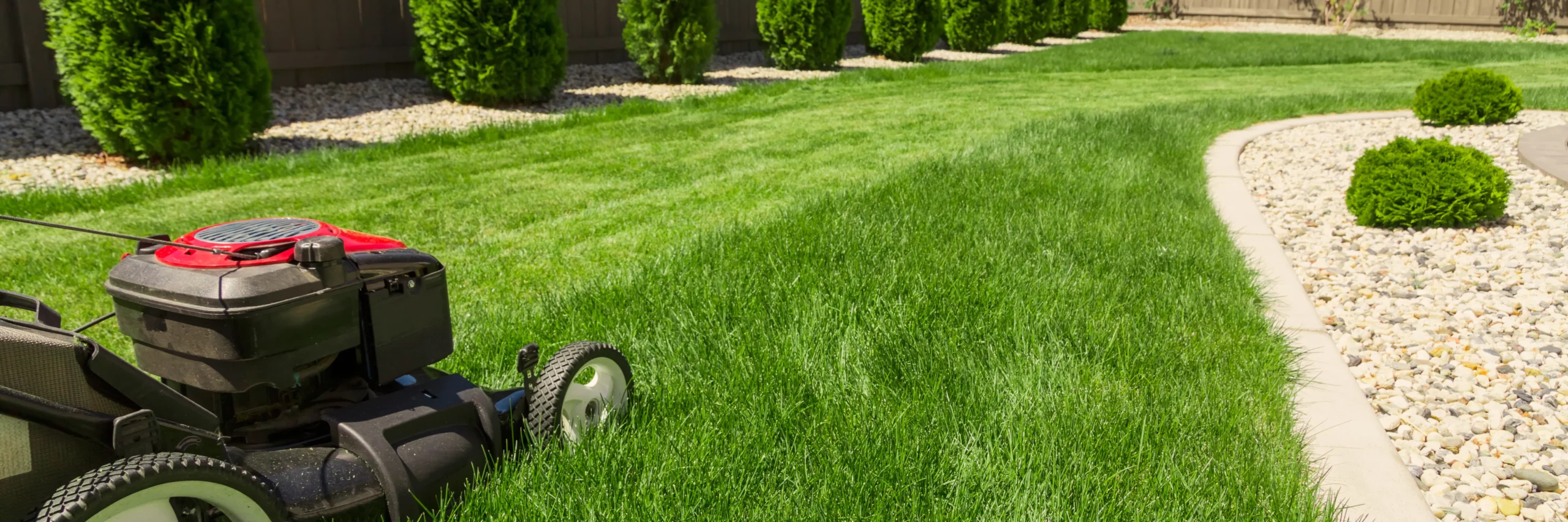 AdobeStock_139961347_result