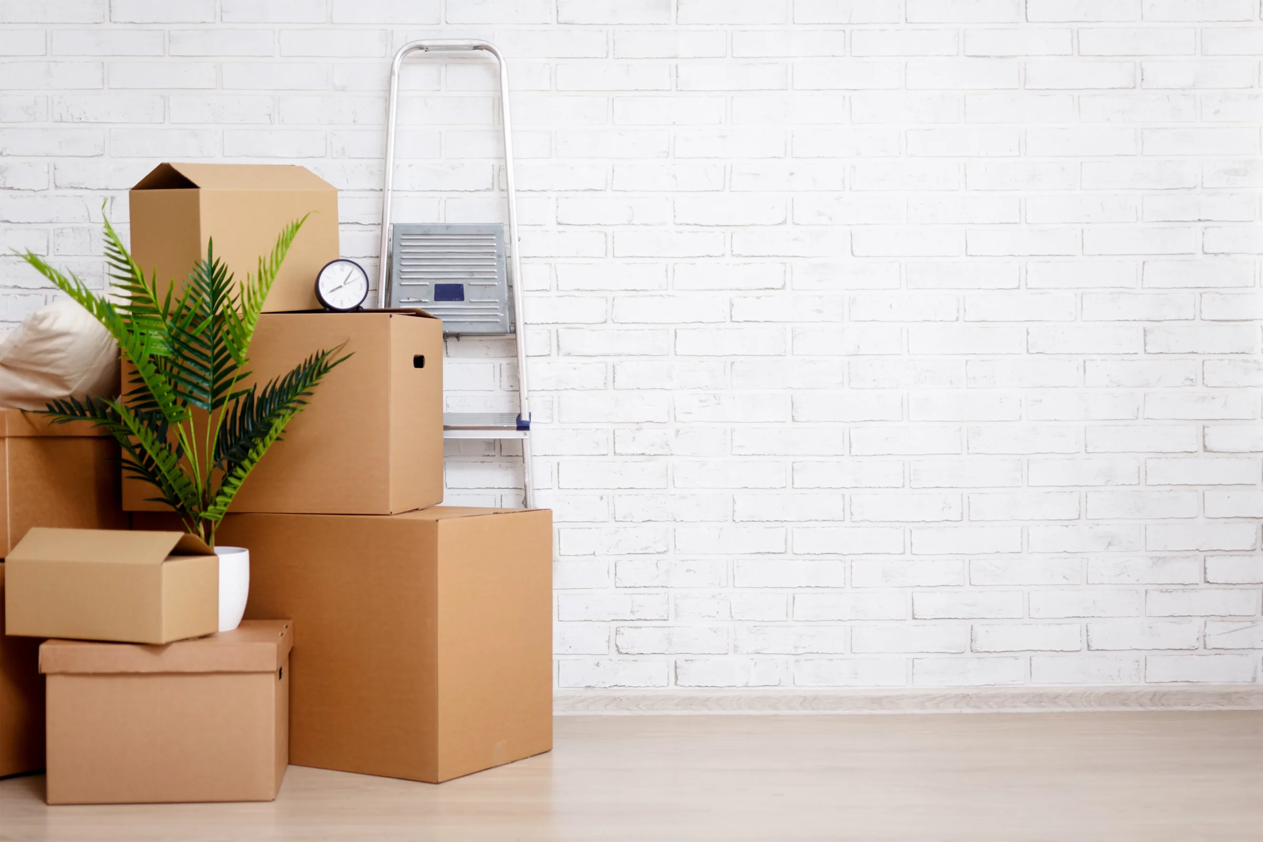 AdobeStock_388453239_result